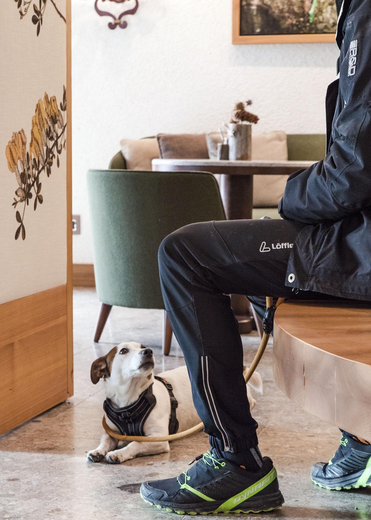 Faloria Mountain Spa Resort Cortina d'Ampezzo Bagian luar foto